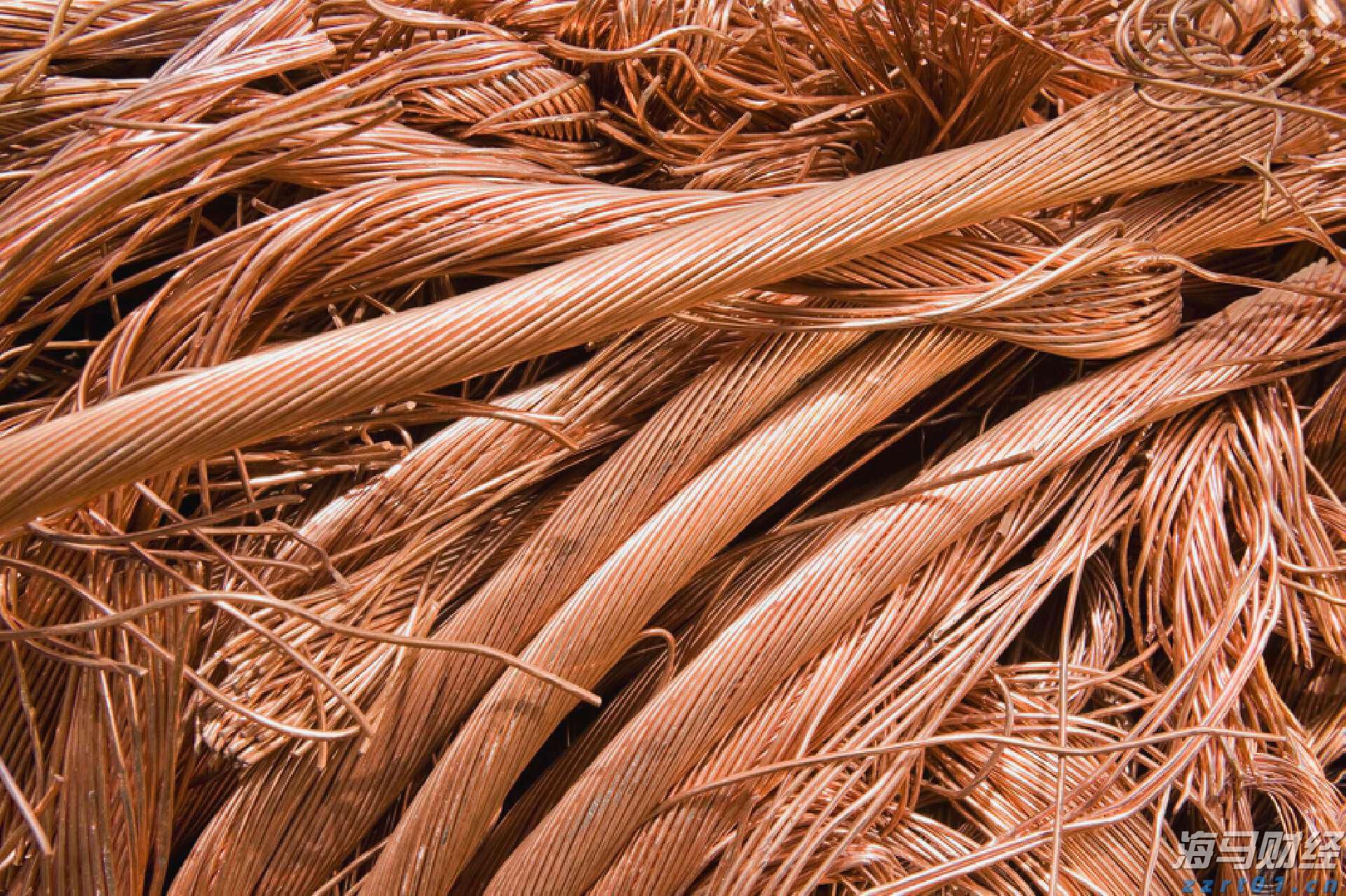 湛江海关在跨境电商渠道查获涉嫌侵犯商标权手提包49个